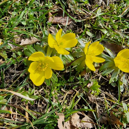 Jarní přírodovědné exkurze