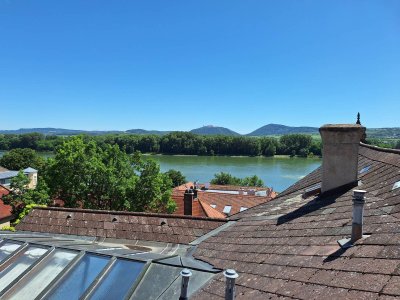Exkurze Krems, 1. 7. 2025