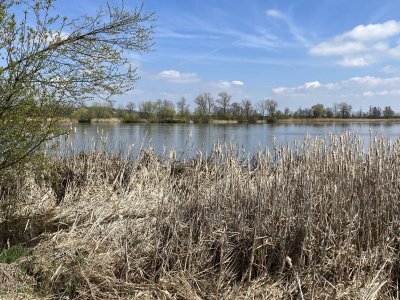 Ornitologická exkurze u Moravských Budějovic, 11. 4. 2026