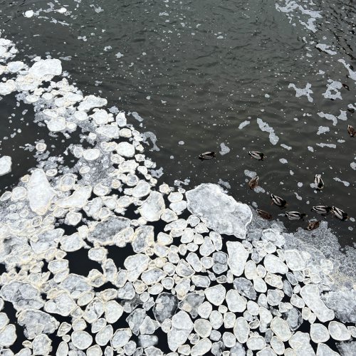 Přirozeně environmentální emoce